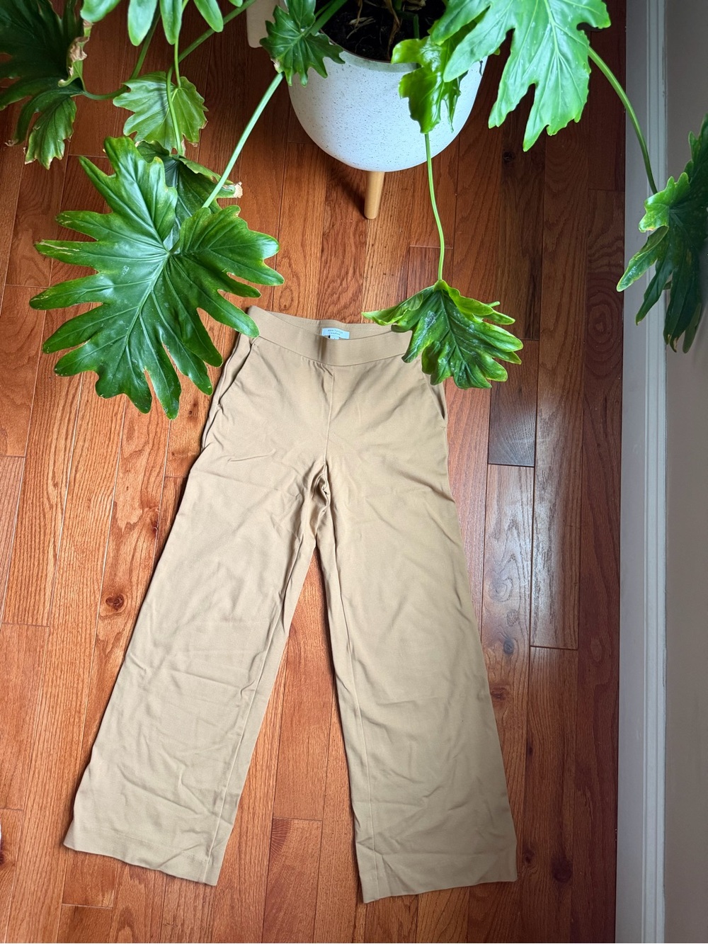 Ann Taylor Weekend Tan Wide-Leg Stretch Pants